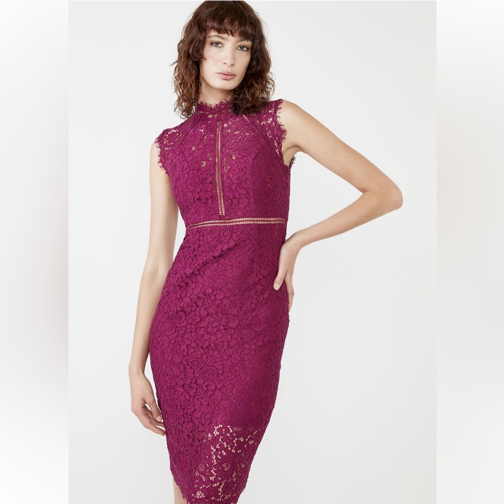 Bardot Lace Panel Dress In Wine Size 4